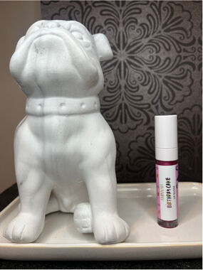 Birthday Cake Lip Gloss